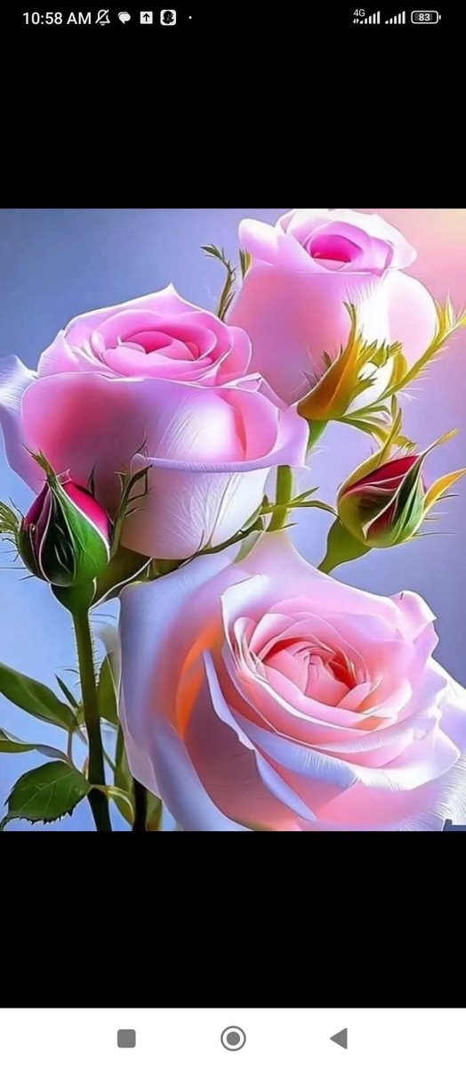 Assalam o Alaikum.
Good morning🌺🌺
Everyone💐💐💐💐