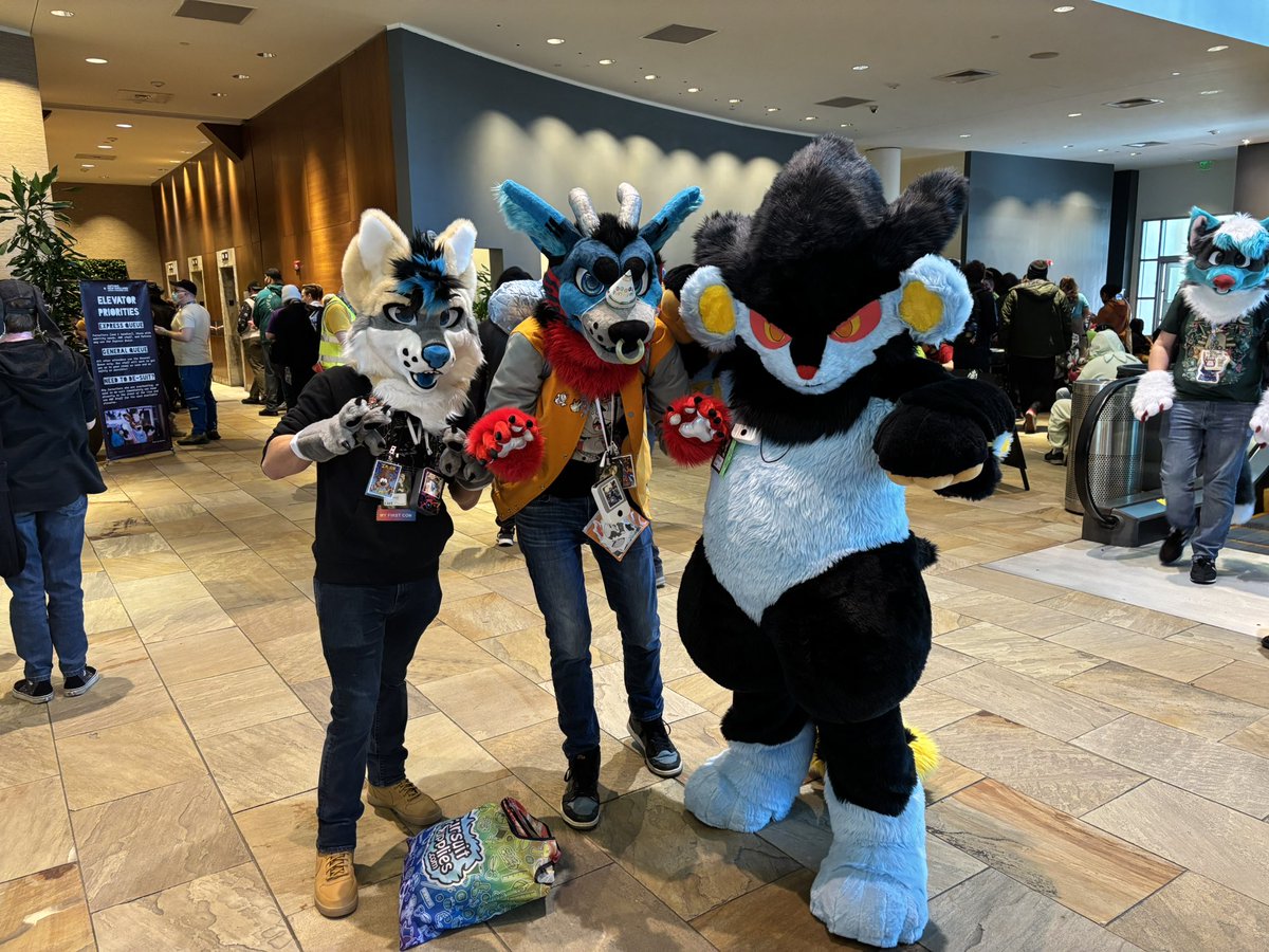 riptide177's tweet image. First day of @Anthro_NE has been awesome! Got some good photos of the city and some cool suitors