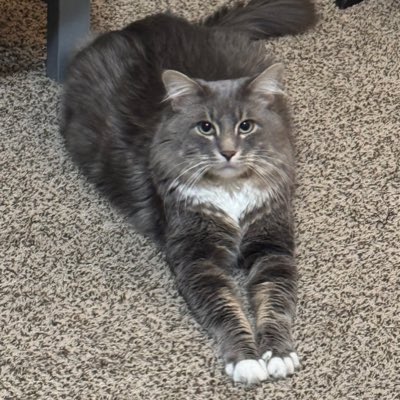 Rick182hf's tweet photo. #NuevaFotoDePerfil https://t.co/5Ey0chs4YR