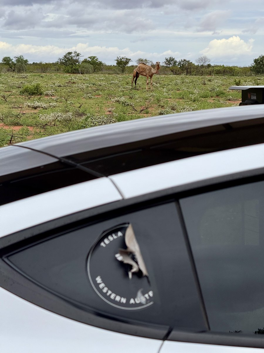 harald_murphy's tweet photo. #evadventure
#AUSYtour
@Tesla @TeslaAUNZ #ModelY
Day 2
Arrived #Sandfire Roadhouse #WesternAustralia after traveling 140km from #Pardoo. Efficiency 209Wh/km. Charging at the @HorizonPower_WA #WAEVNetwork 50kW off-grid solar powered @TritiumCharging #FastDC charger. https://t.co/65TZusPlWY