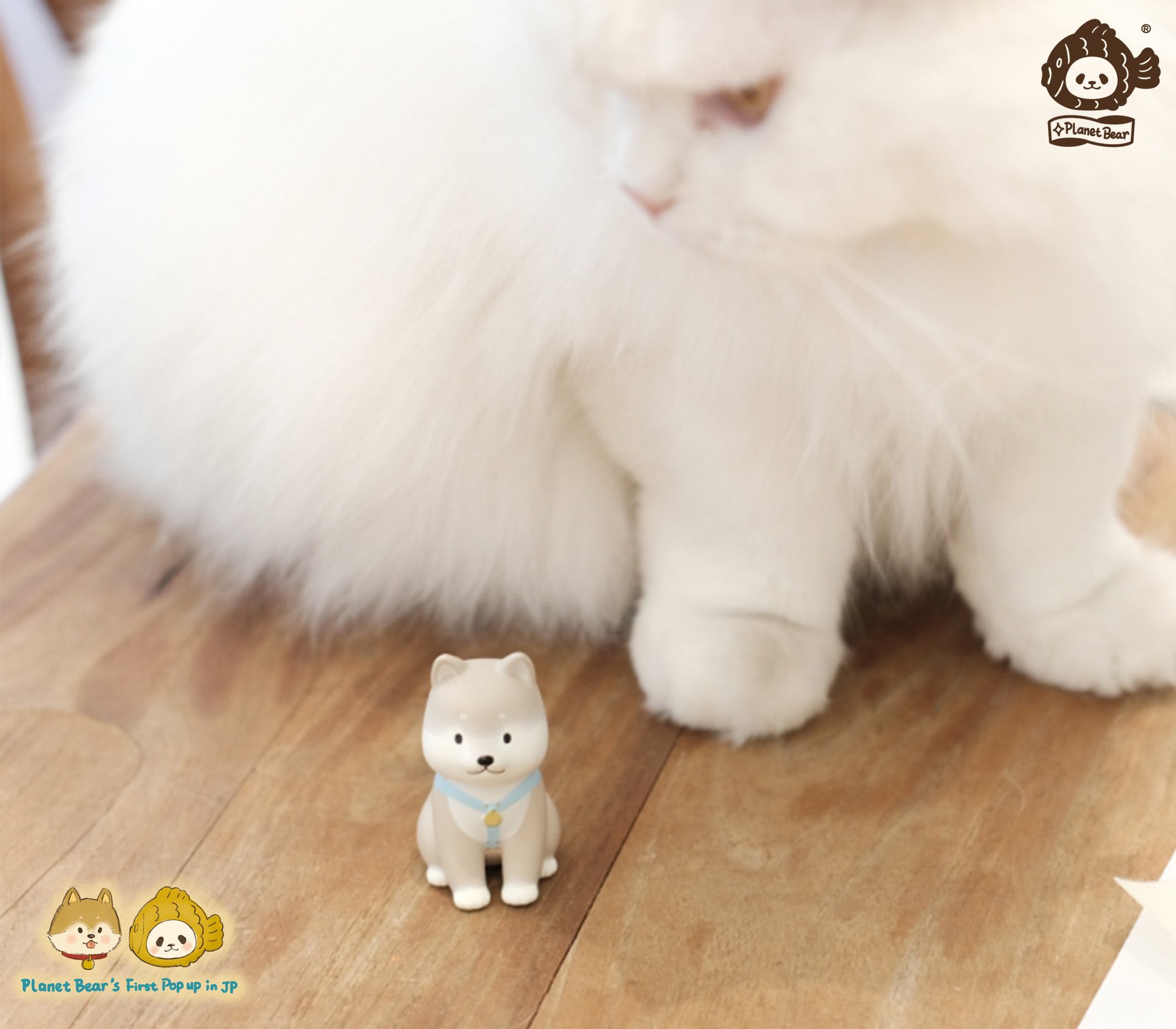 プラネットベア 渋谷 イベント PanPan and Friends