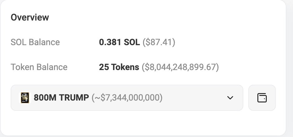 The pesident of the united states solana wallet is worth more than his net worth was this morning and you're bearish?