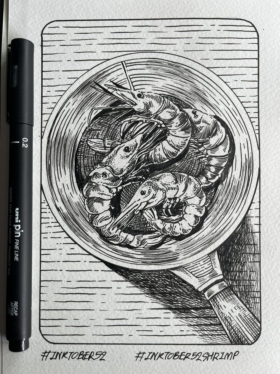 “Shrimp ” 
ink on sketchbook 148x210 mm.

#art #creative #illustration #inktober #inktober2025 #inktober52 #sketchbook #drawing #unifineliner #inktober52shrimp