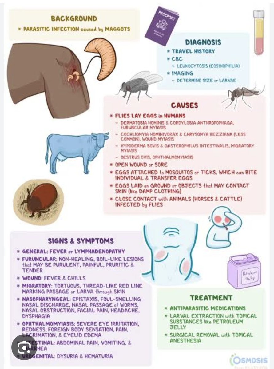 <a href="/IhabFathiSulima/">Dr Ihab Suliman</a> CUTANEOUS MYIASIS - Parasitic infection caused by an infestation of fly larvae, also referred to as maggots. Common fly species that may cause myiasis include Dermatobia hominis and Cordylobia anthropophaga.Most common clinical type of myiasis is cutaneous myiasis, which provides