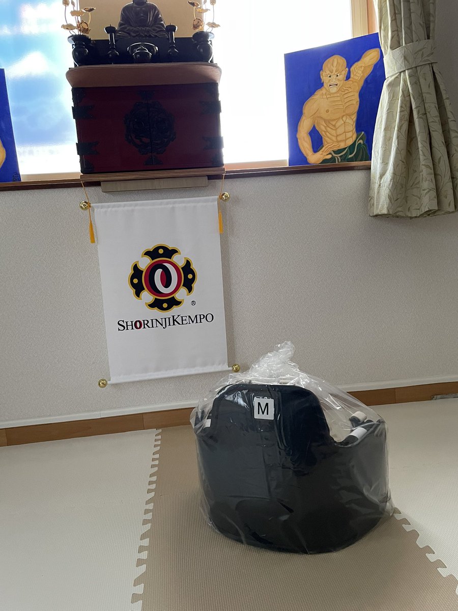 philoso678phy's tweet photo. 昨日、新ボディプロテクターが届きました。二枚胴の横にクッションが増えたようです。これからの修練に良い効果を期待しています。 https://t.co/HmeIJ23y7z