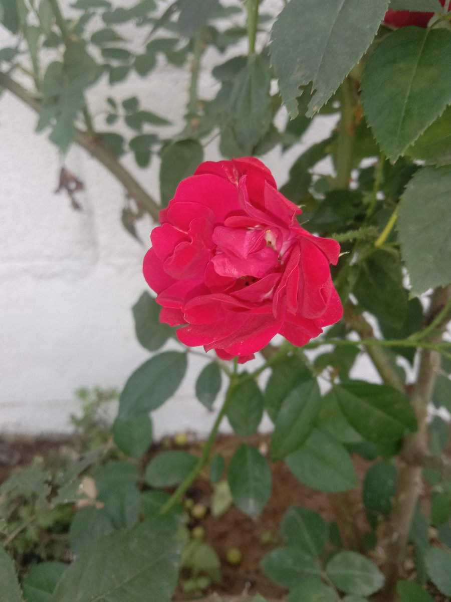 lonelytwtz's tweet photo. 😍 https://t.co/8GK41pjxte