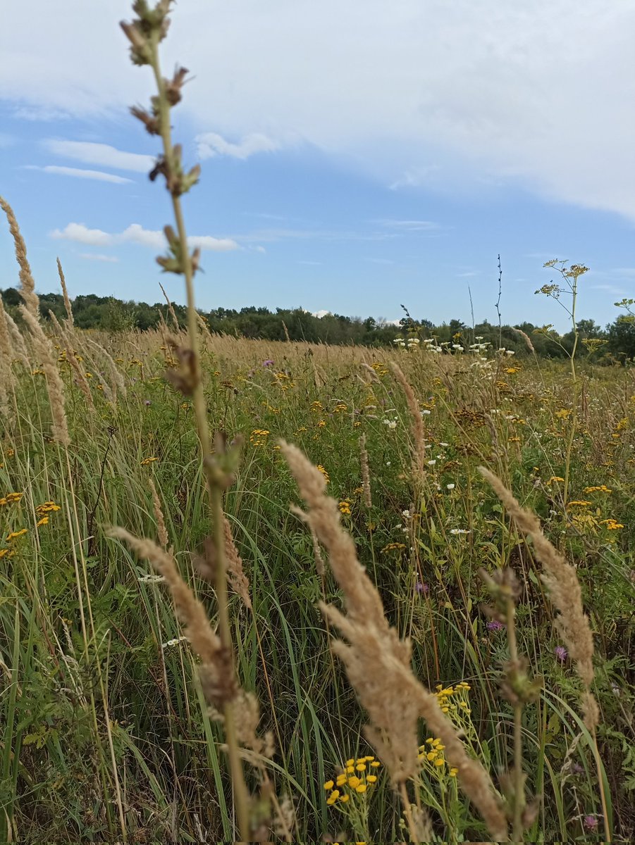 ElenaArtBright💖 tweet media