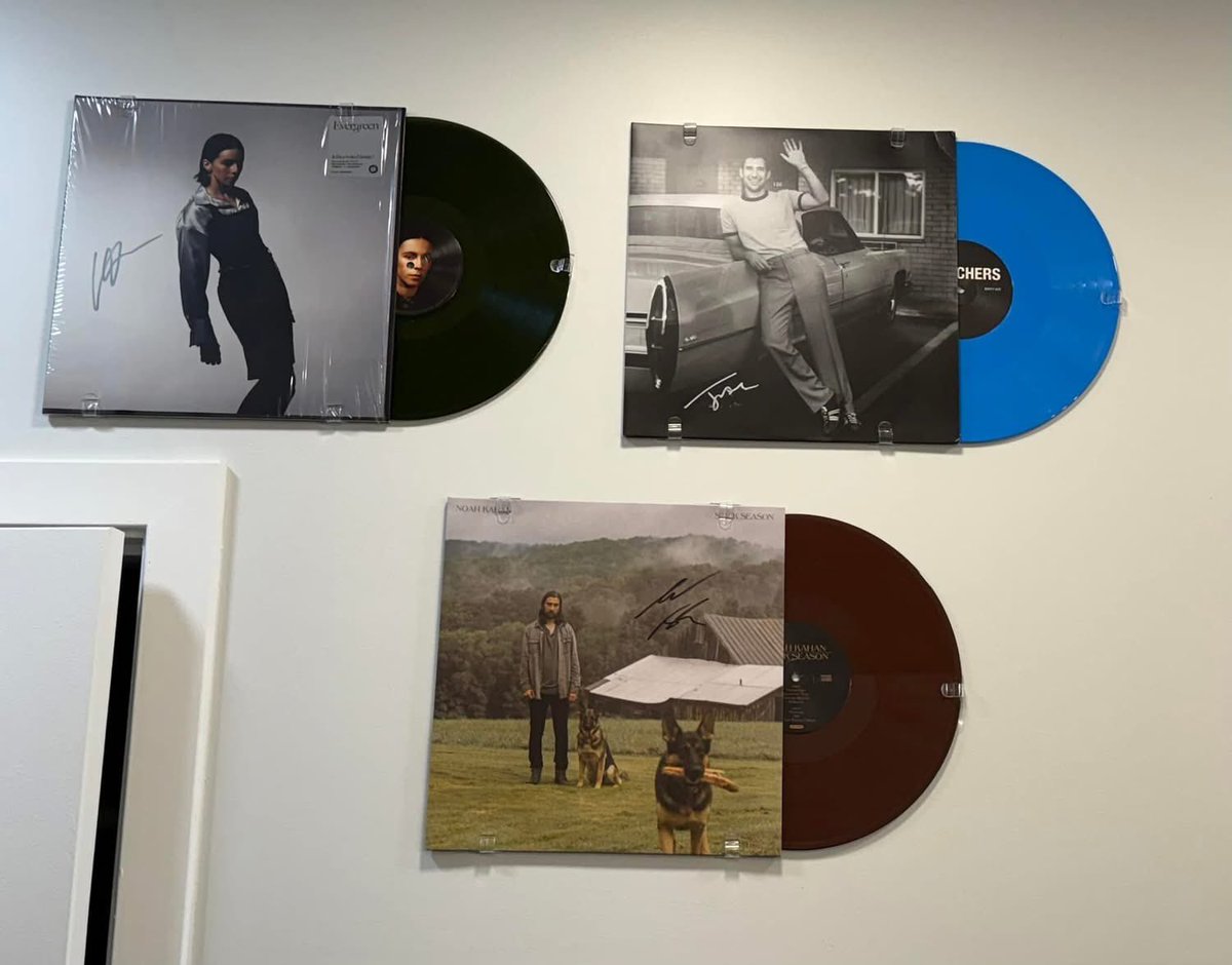 vik⸆⸉ tweet media