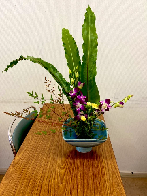 今日のお花 