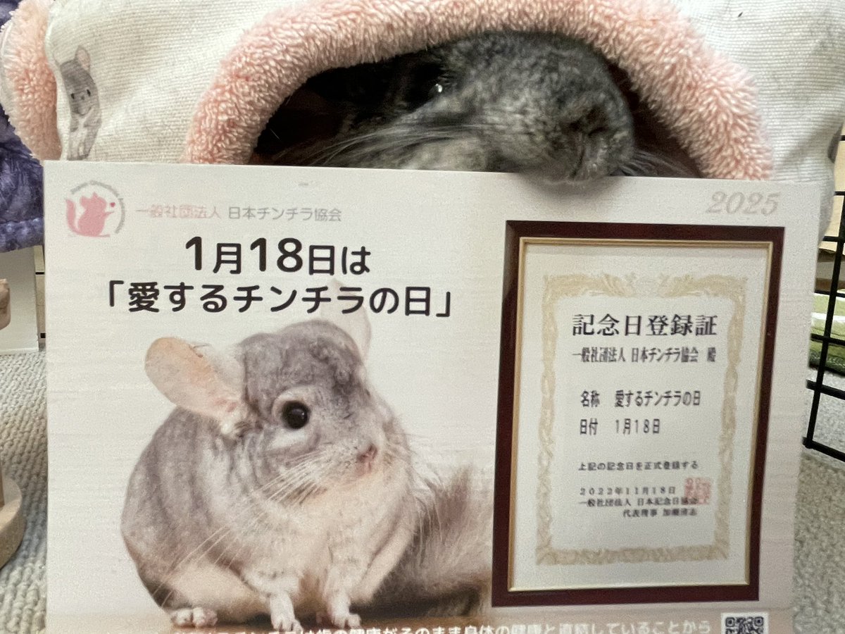 チラフェス2025 ありがとうございました (@chillastmas) / Posts / X