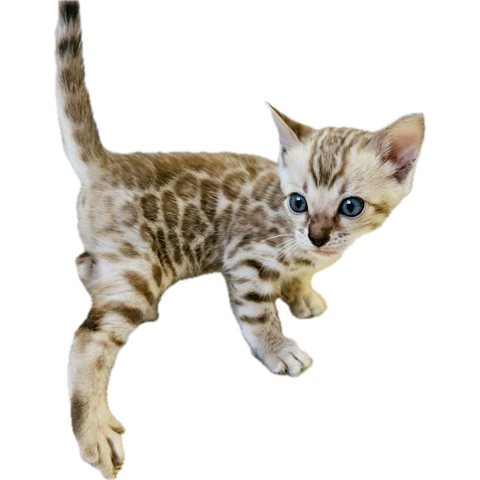 𝐮𝐍𝐄𝐄𝐊🌹 tweet media