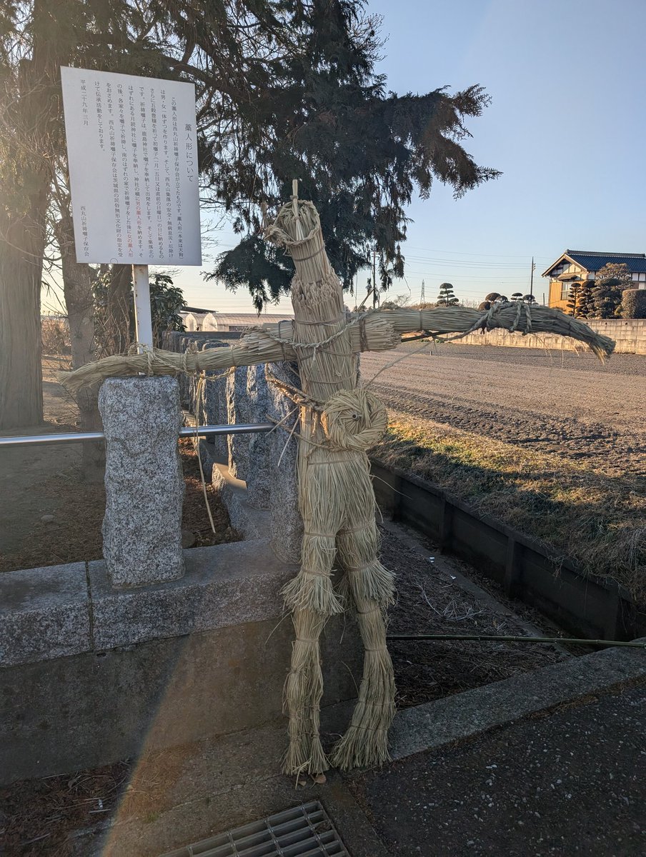 seimei421haniwa's tweet image. 西丸山の藁人形に寄り道

大杉神社のあんば信仰
西丸山祈祷囃子と疫病除け、五穀豊穣
男の子藁人形と女の子藁人形👺

1月の初囃子の時に作ったものだろうから新しい👺✨
今年は天狗さまの鼻がない👀

#今日の寄り道
#つくばみらい市