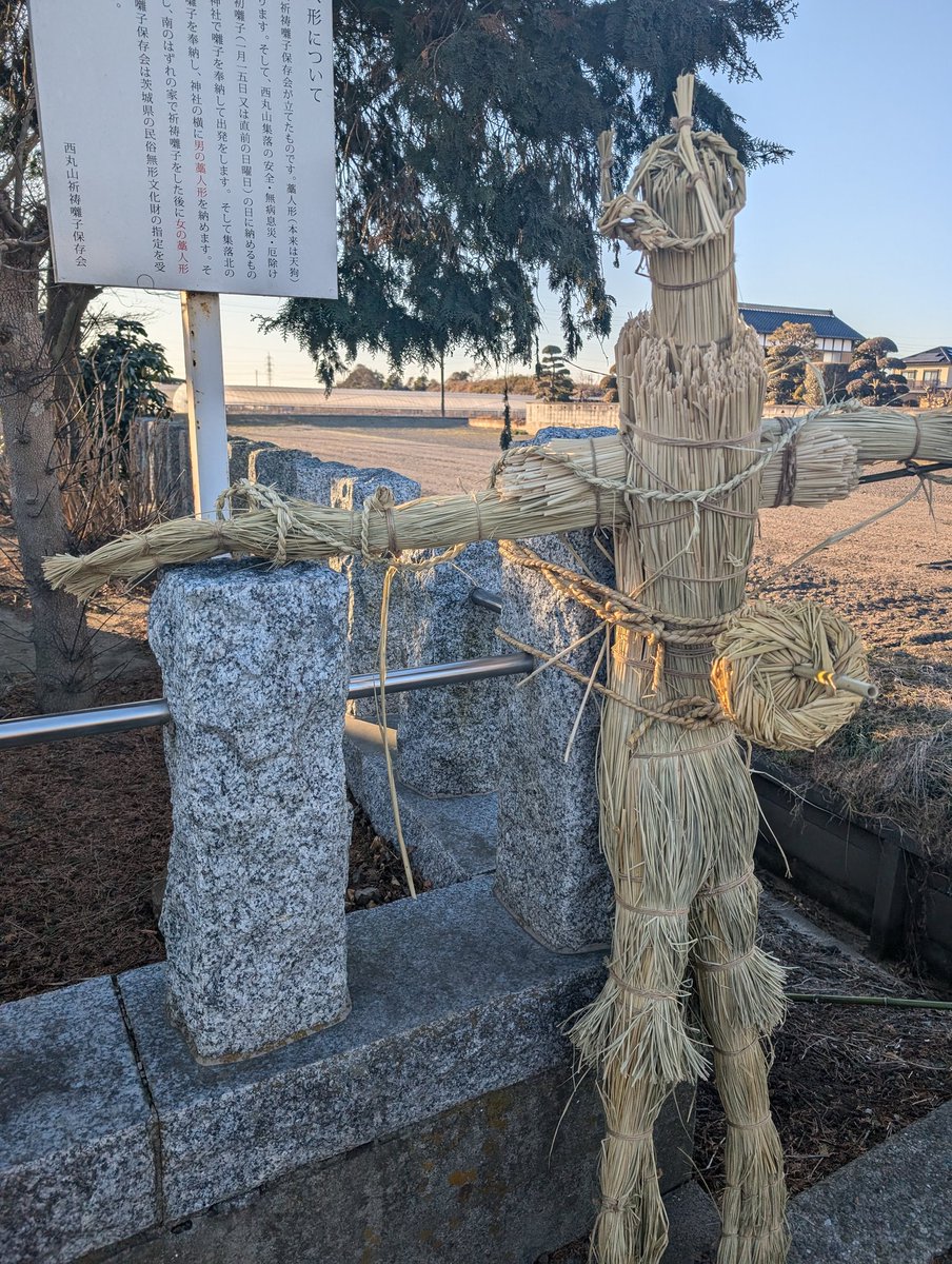 seimei421haniwa's tweet image. 西丸山の藁人形に寄り道

大杉神社のあんば信仰
西丸山祈祷囃子と疫病除け、五穀豊穣
男の子藁人形と女の子藁人形👺

1月の初囃子の時に作ったものだろうから新しい👺✨
今年は天狗さまの鼻がない👀

#今日の寄り道
#つくばみらい市
