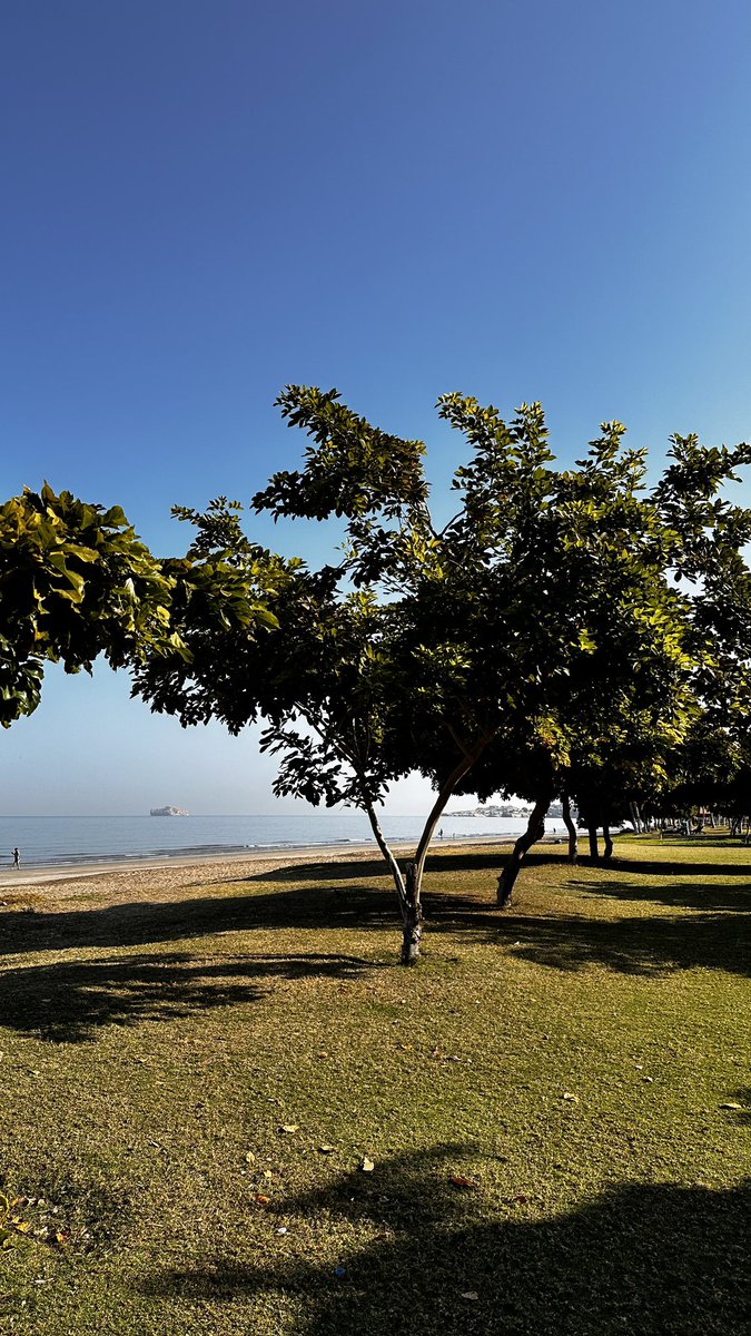 _nadafarhat's tweet photo. From today’s morning beach walk. Happy Saturday 🌞 https://t.co/uVLdjlbVg5