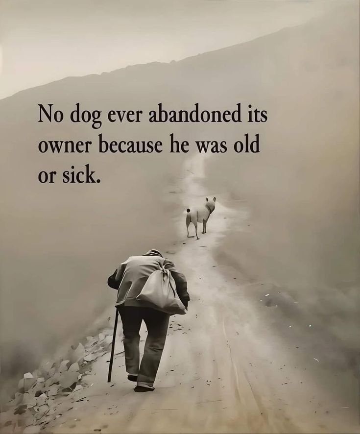 vivaneil1234's tweet image. 