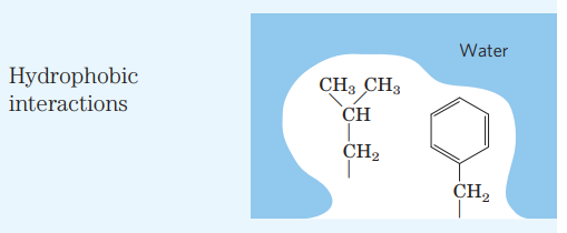 shwetaaa_m's tweet photo. Enemy's enemy is friend
*Cries in hydrophobic interaction* https://t.co/XTUkes4mCP
