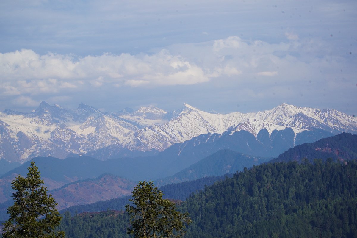 T4Tourism tweet media