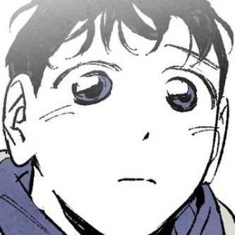 pdrok frangobobora tweet media