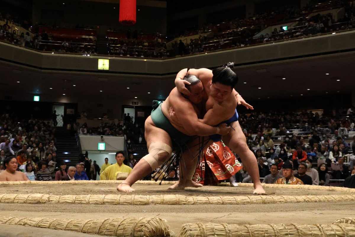 七日目の様子＞ 十両取組 #琴栄峰（5勝2敗）寄り切り #白鷹山（5勝