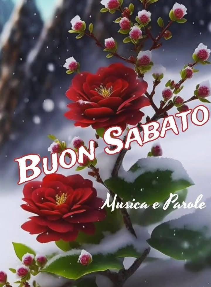 RITABIANCHi56 tweet media