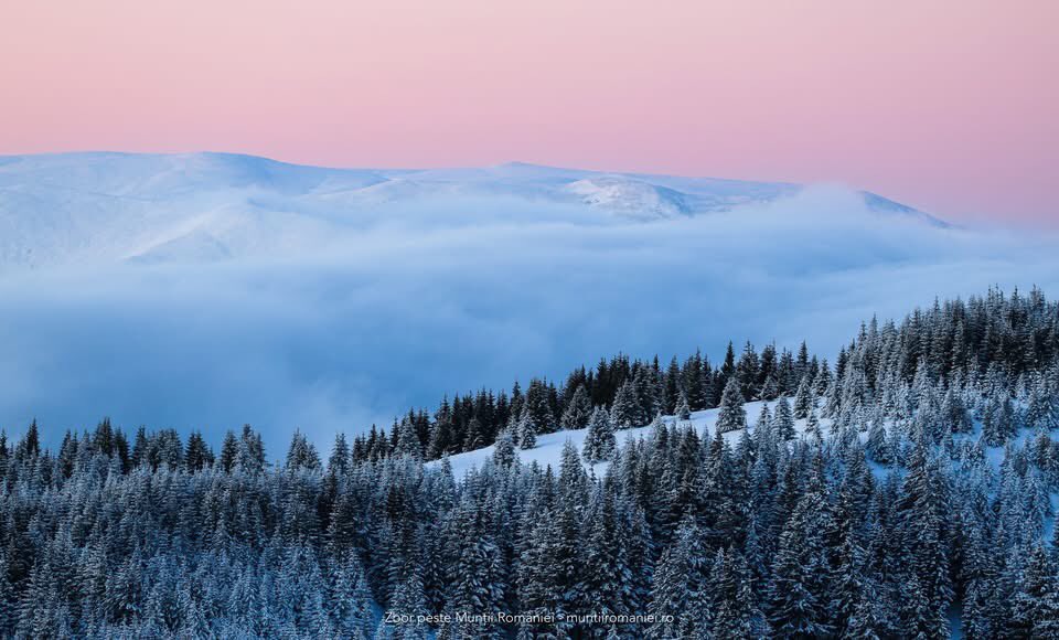 Ana_C_Tudor's tweet photo. Good morning! The sun is waking up 🌅and gently rising over the snow-covered #Ciucas mountains. 🏔️
#RomaniaIsBeautiful 🇷🇴 🇪🇺. 📸 #DeasupraMuntilorRomaniei https://t.co/qmXcbevlpM