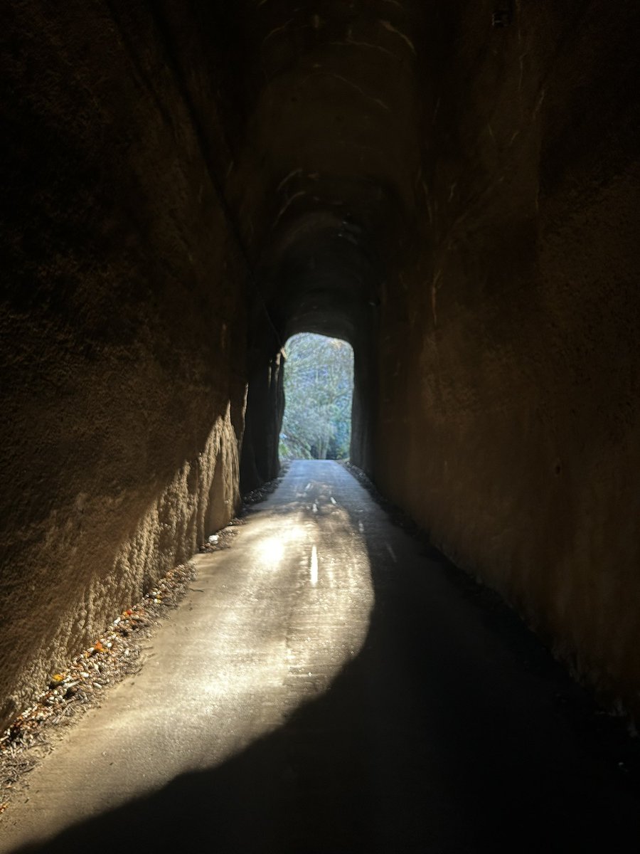 scott_first's tweet image. 手掘りのトンネルってなんか良いよね