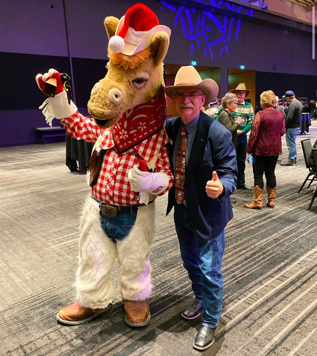 Harry The Horse tweet media