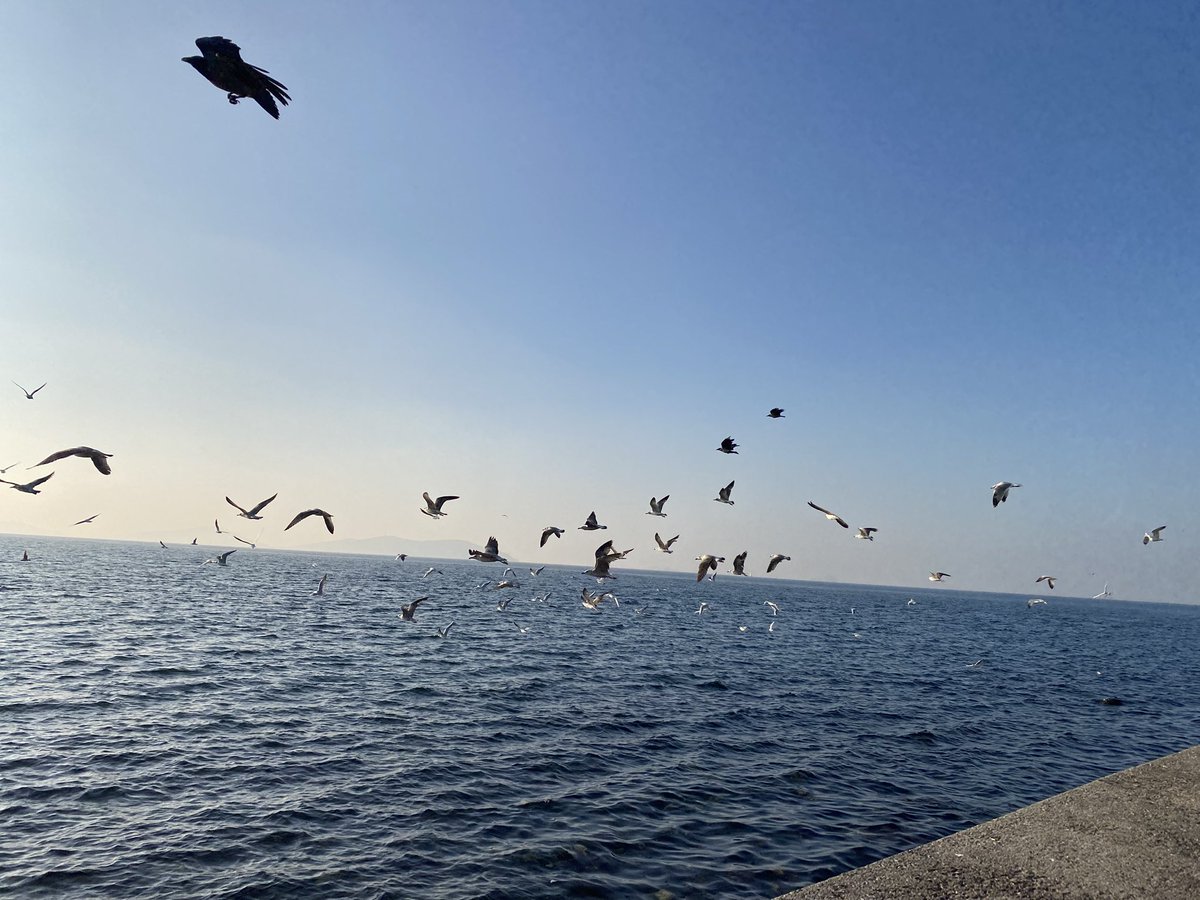Günaydın ☀️