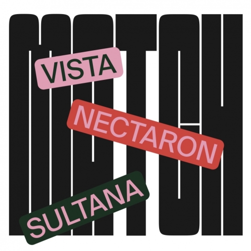 beer_dot_by's tweet photo. Zagovor - Match: Nectaron, Sultana, Vista. Сочетание 3 разных сортов хмеля, но с одинаковым составом воды, солодовой основой и дрожжами. Этот варочный цикл посвящён хмелям Nectaron, Sultana и Vista.

Банка и в кегах. Доступно для заказа. https://t.co/MT75JsoS5o