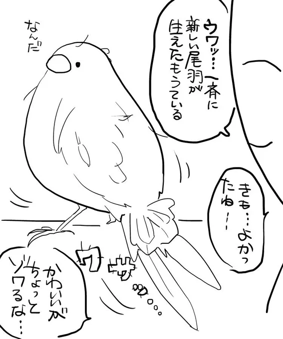 近況 