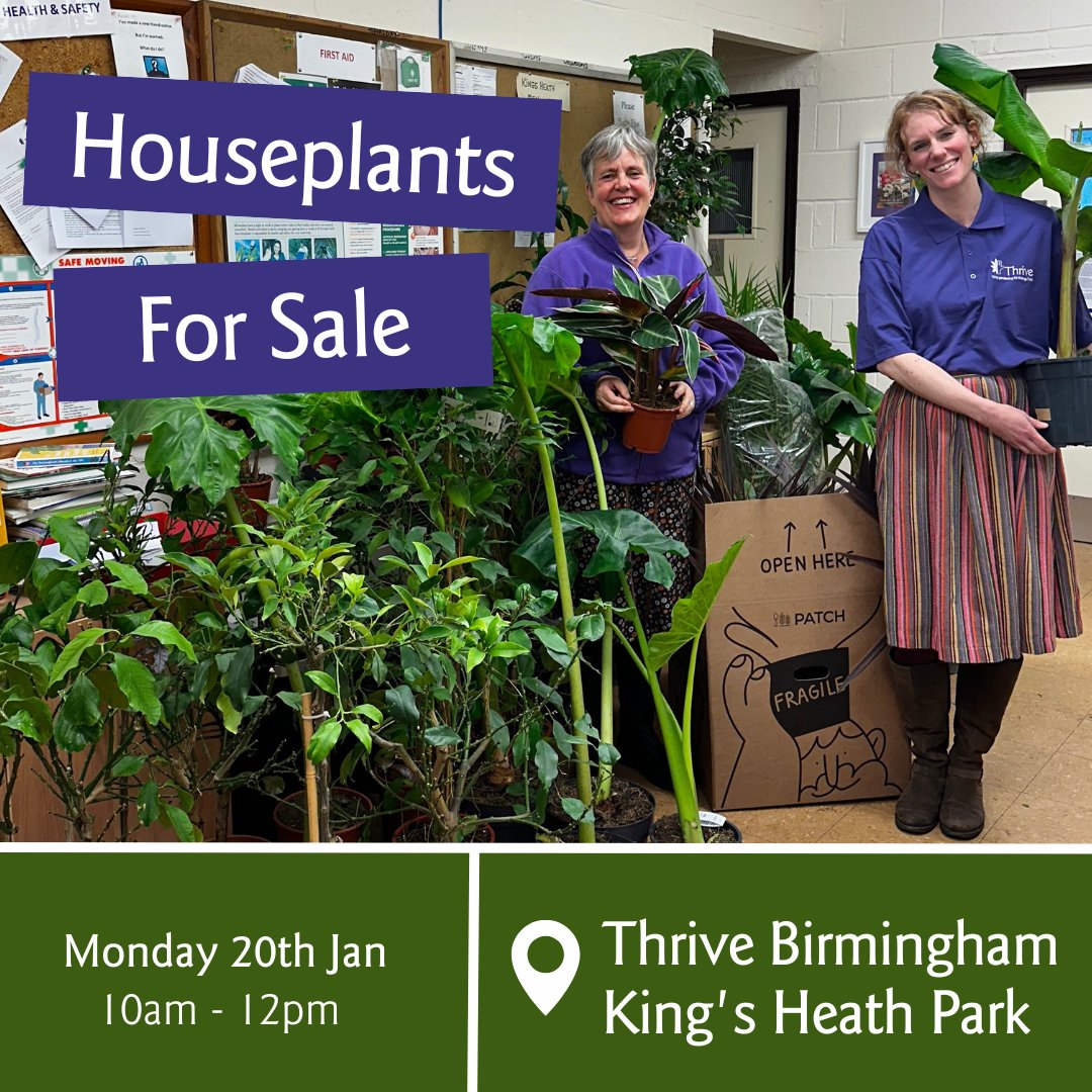 Celebrate #houseplantweek with Thrive Birmingham's houseplant sale at King's Heath Park on 20th January 🌵

#birminghamkingsheath #kingsheath #birminghamevents #whatsonbirmingham