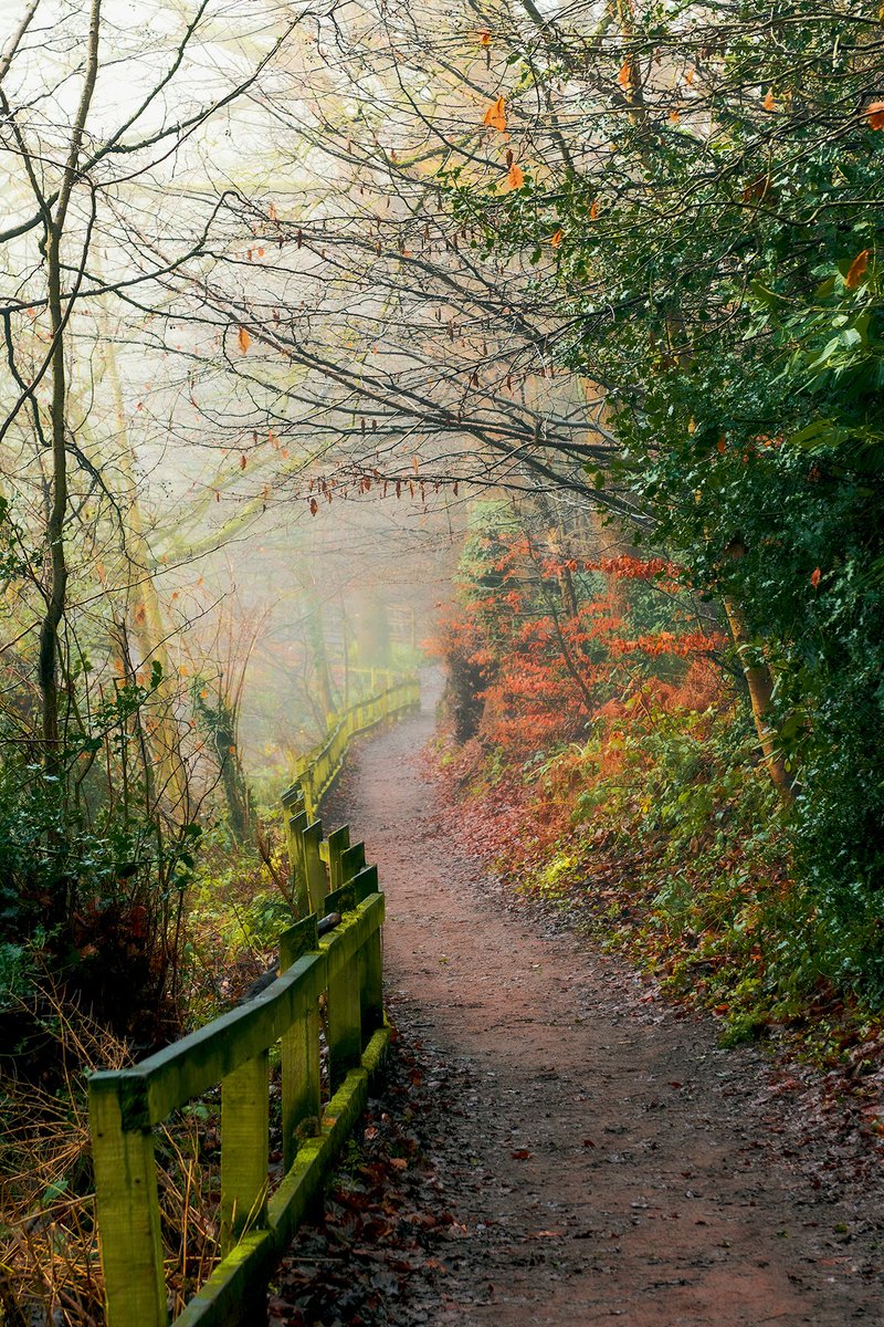 Andy M (@salescycle) on Twitter photo Meandering path alongside Lymm Dam pm a misty damp morning. Enjoy your Saturday. #Saturday #Lymm #lymmdam #cheshire #cheshirelife #manchesterphotography #woodlandphotography #nikonphotography #uknikon #your_trees #naturephotography #uktrees <a href="/StormHour/">#StormHour</a> <a href="/ThePhotoHour/">#ThePhotoHour</a> Meandering path alongside Lymm Dam pm a misty damp morning. Enjoy your Saturday. #Saturday #Lymm #lymmdam #cheshire #cheshirelife #manchesterphotography #woodlandphotography #nikonphotography #uknikon #your_trees #naturephotography #uktrees <a href="/StormHour/">#StormHour</a> <a href="/ThePhotoHour/">#ThePhotoHour</a>
