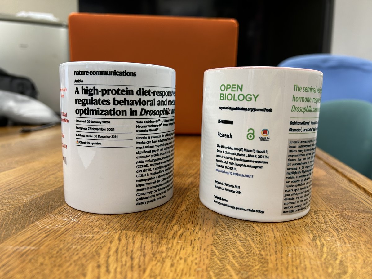 Ryusuke Niwa tweet media