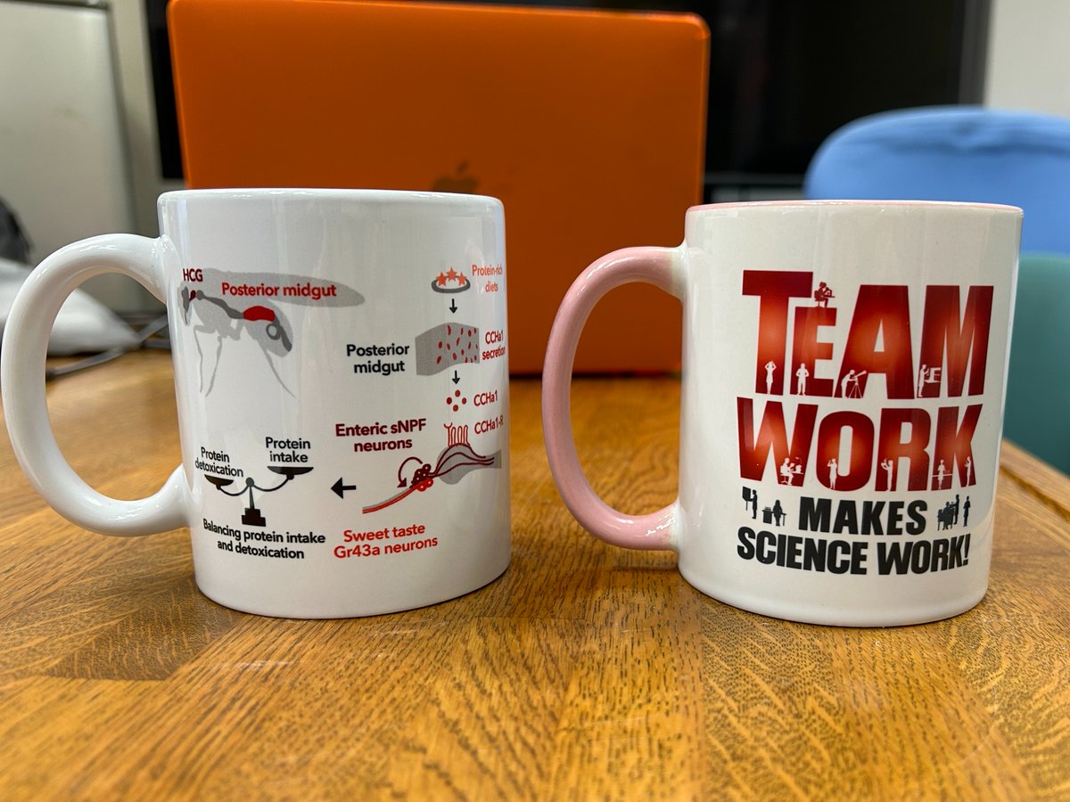 Ryusuke Niwa tweet media