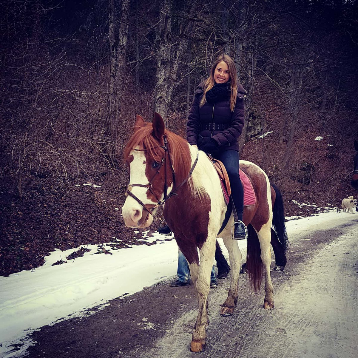 Lorarez (@lorarezaf1) on Twitter photo 