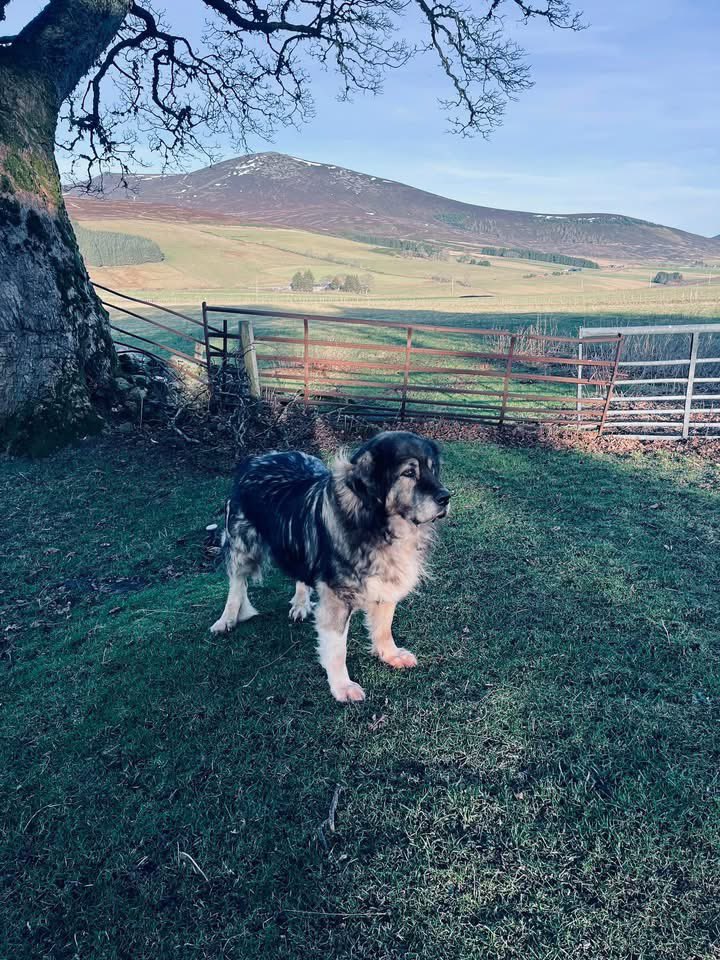 Adrian Tilsed tweet media