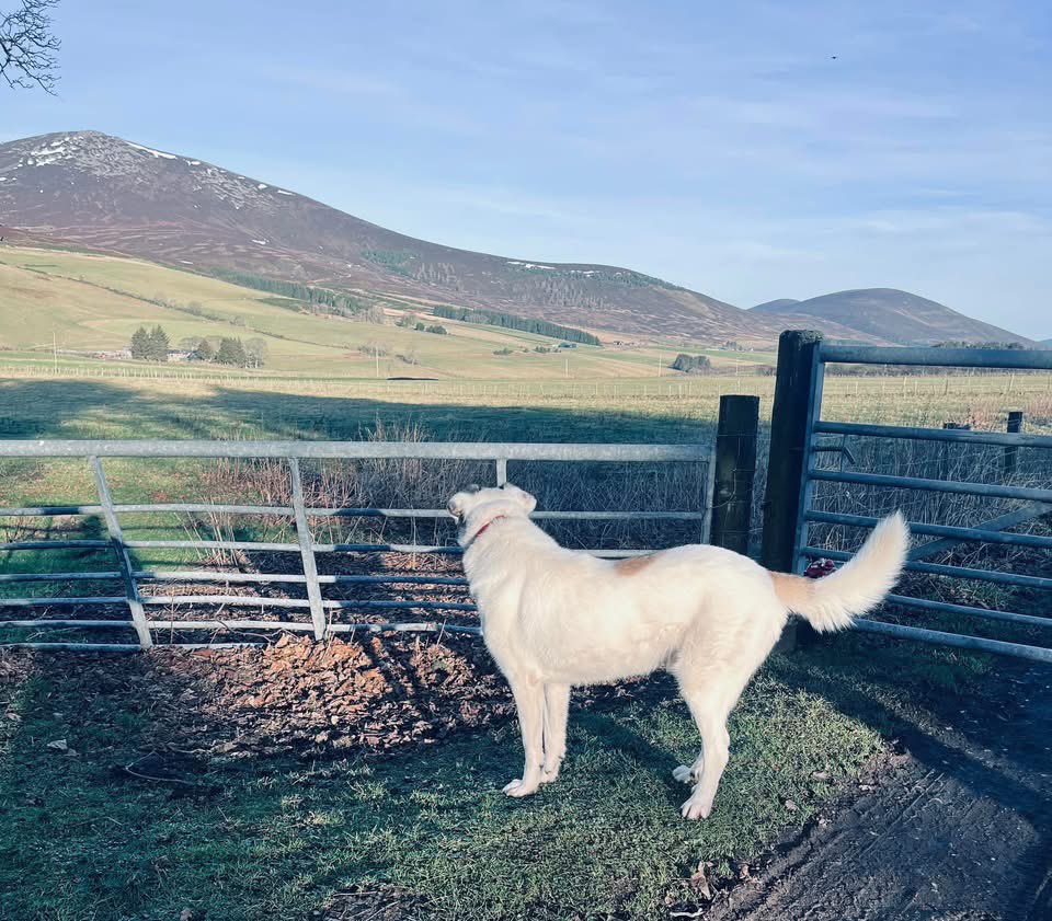 Adrian Tilsed tweet media