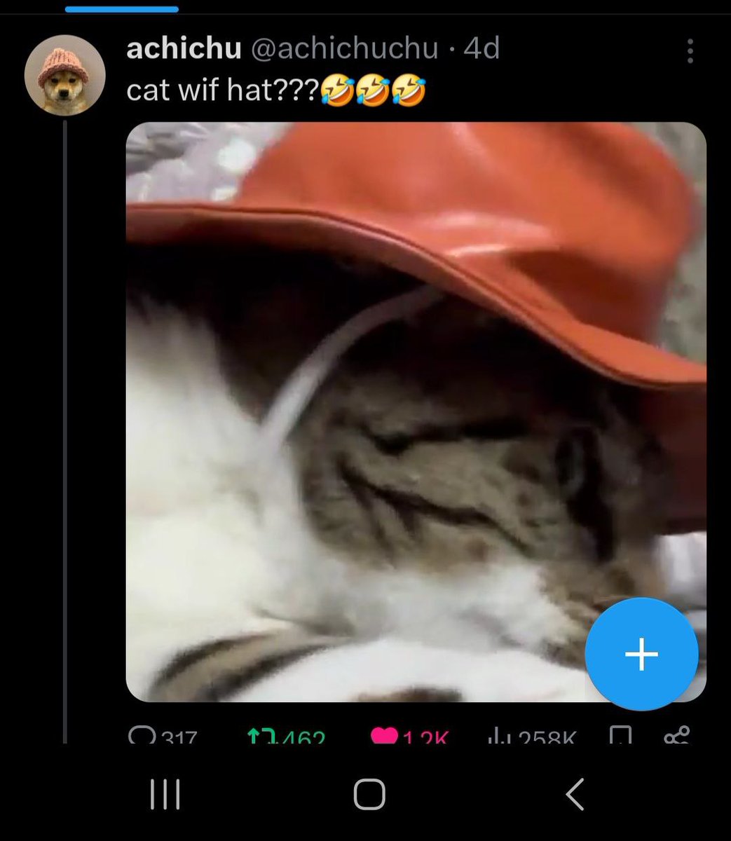 zxcvbnm tweet media
