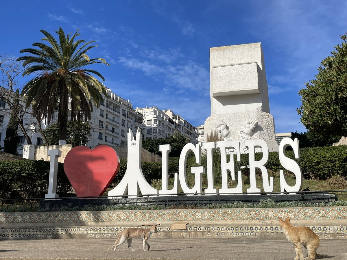 Julien Branchereau,MD,PhD (@branchereauju) on Twitter photo Such a tremendous honor to represent <a href="/AFUrologie/">Association Française d'Urologie - AFU</a> and to deliver a talk at the Algerian Association of Urology meeting. Congratulations to the organizers for this outstanding event!
<a href="/KamelAitElHadj2/">Kamel Ait El Hadj</a> <a href="/delataillealex/">Pr. Alexandre de La Taille</a> <a href="/FaixUrologue/">Faix Antoine</a> <a href="/R_Boissier/">Romain Boissier</a> Such a tremendous honor to represent <a href="/AFUrologie/">Association Française d'Urologie - AFU</a> and to deliver a talk at the Algerian Association of Urology meeting. Congratulations to the organizers for this outstanding event!
<a href="/KamelAitElHadj2/">Kamel Ait El Hadj</a> <a href="/delataillealex/">Pr. Alexandre de La Taille</a> <a href="/FaixUrologue/">Faix Antoine</a> <a href="/R_Boissier/">Romain Boissier</a>