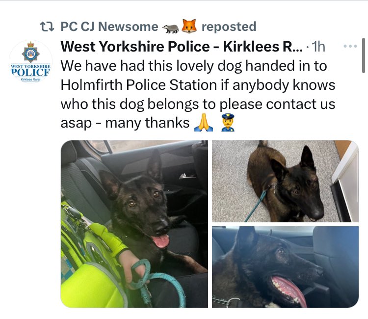 stationmoggy's tweet photo. Please Share and Retweet many thanks 🙏 https://t.co/5rozJ6O9xa