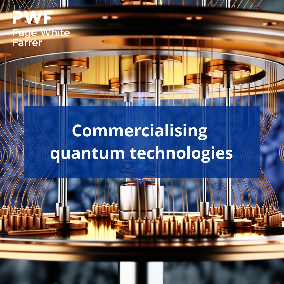 Page White Farrer tweet media