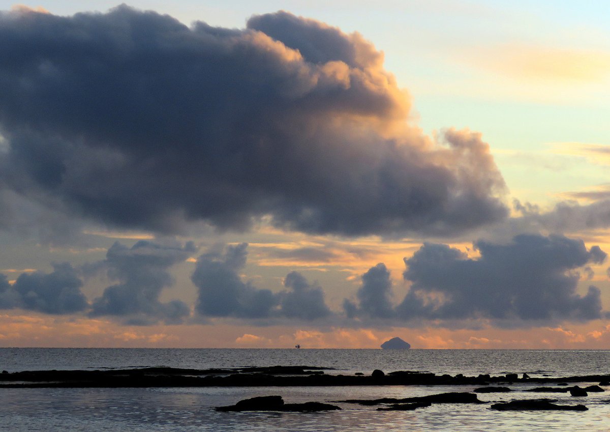 Brian Craig tweet media