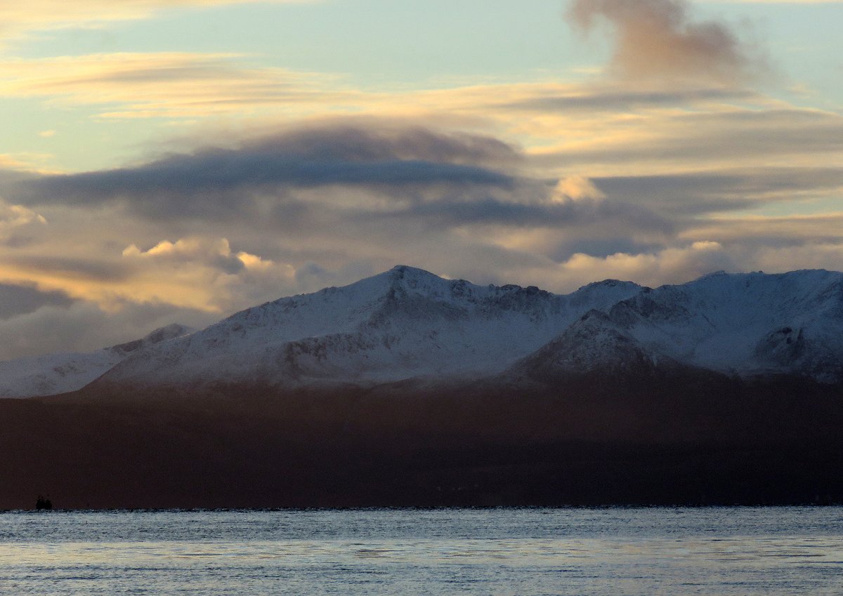 Brian Craig tweet media