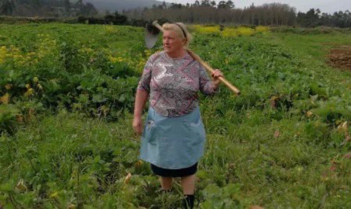 cryptosaj17's tweet photo. trump is looking like a real farmer 

Guess you could call him farmer $trump

H8qLpkrP4UUUdQx7KCkVtQFtQBwvcRwA2USZMeW8pump https://t.co/1c3jwbLDGi