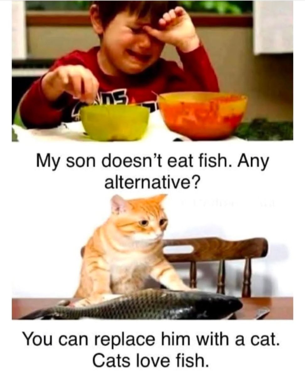 contents that ll heal your depression 🌻 (@catshealdeprsn) on Twitter photo 