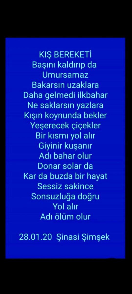 sinasi simsek (@sinasisimsek) on Twitter photo 