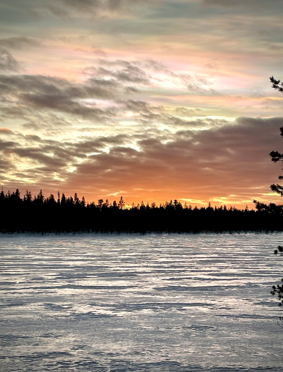 Jälleen ihana auringon lasku. #sunset #springlight #NatureMagic #lapland  #january