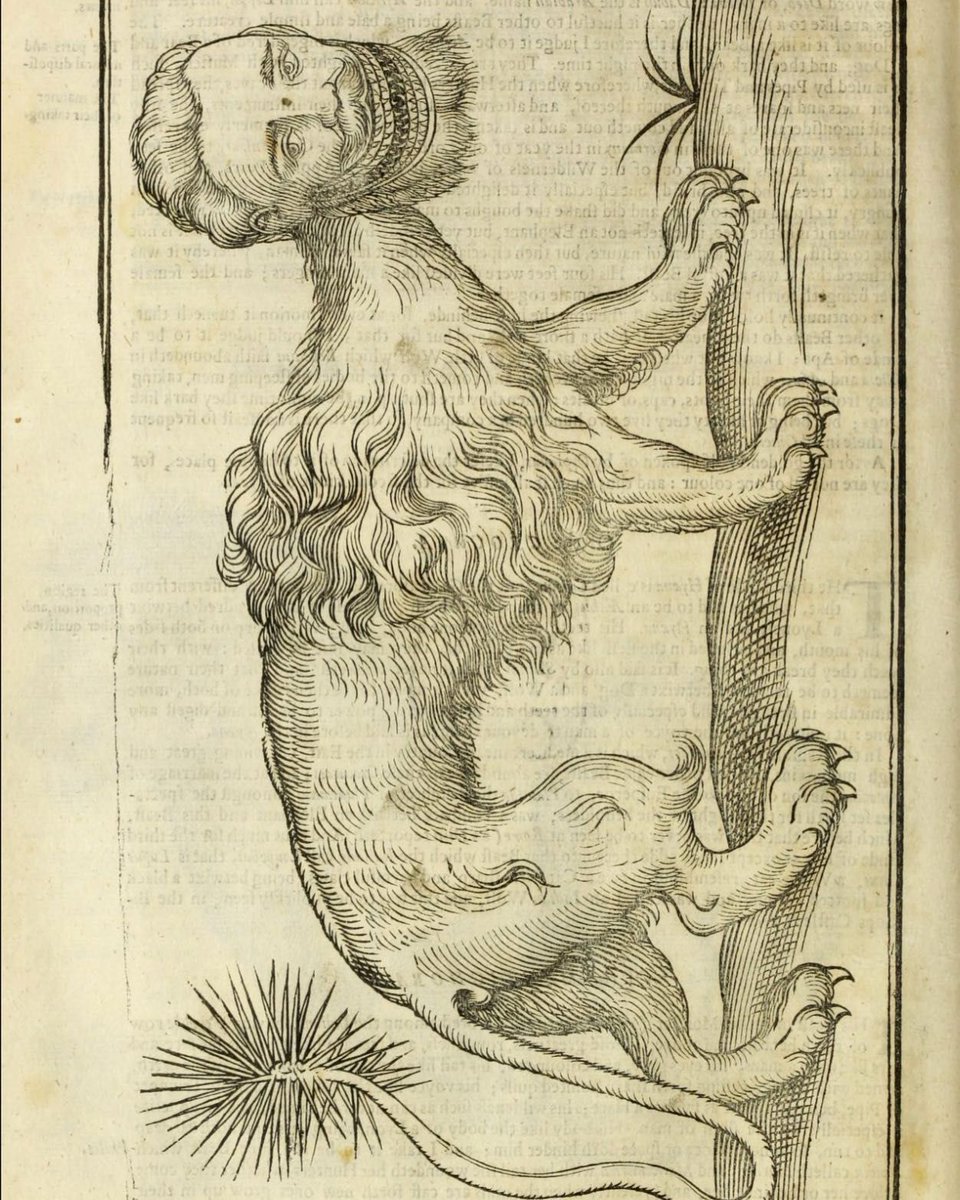 The History of Four-Footed Beasts and Serpents by Edward Topsell is a fascinating natural history book first published in 1607.
