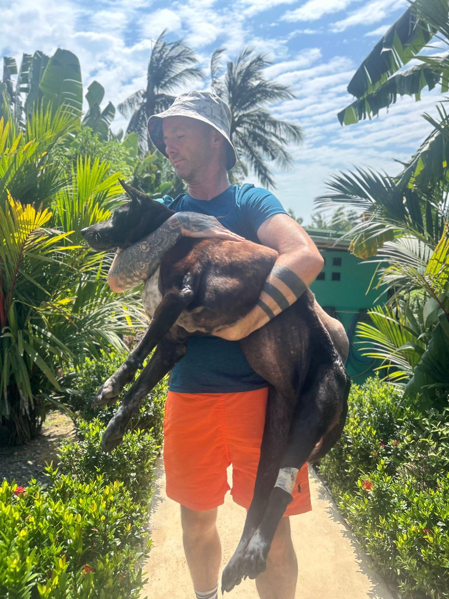 NiallHarbison's tweet image. Her medical bills weren’t cheap and will be expensive if we can save her. 

Luckily a few people donated in Alba’s honor. So this new girls medical bills are already covered. 

Little Alba might be gone but she is passing the love on (6/8)