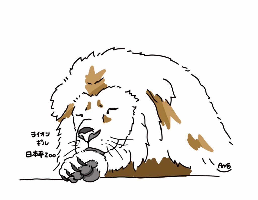 Im7vSf's tweet photo. わたしが夏に見たギルもしゃくれギルだったのか!そして寝姿がほぼ一緒!
#日本平動物園 #ライオン #ギル https://t.co/SW8yc9KG6G